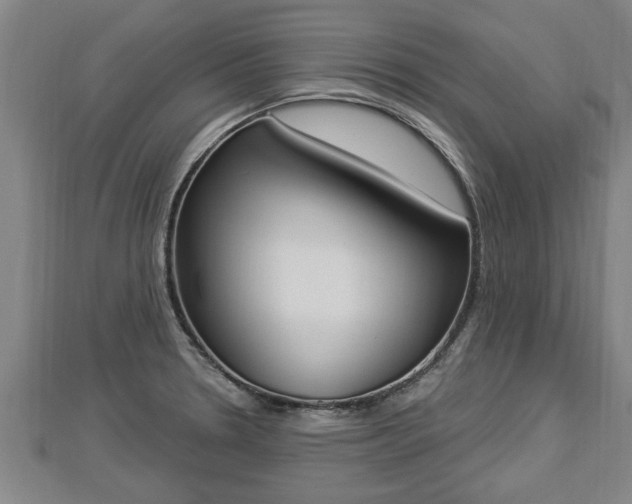 X0000112861330200908281555