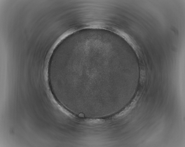 X0000112861331200908281555