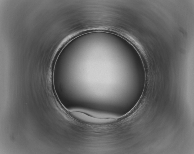 X0000112861332200908281555