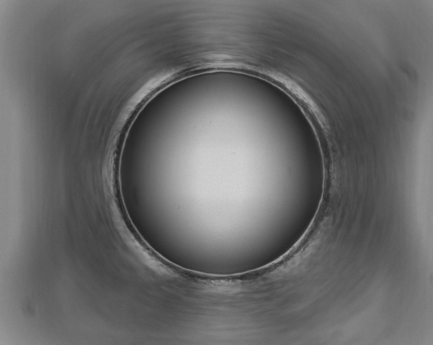 X0000112861333200908281555