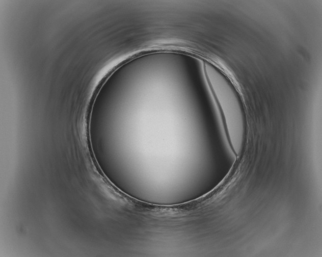 X0000112861336200908281556