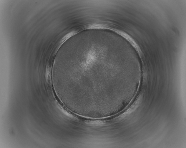 X0000112861337200908281556