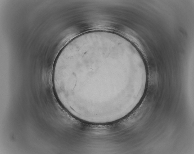 X0000112861338200908281556