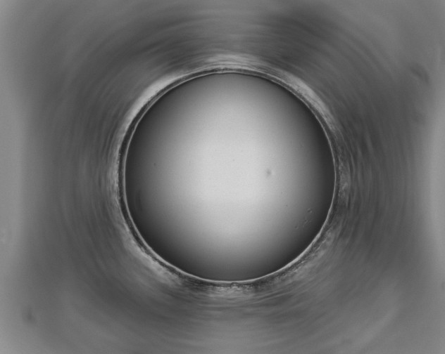 X0000112861339200908281556