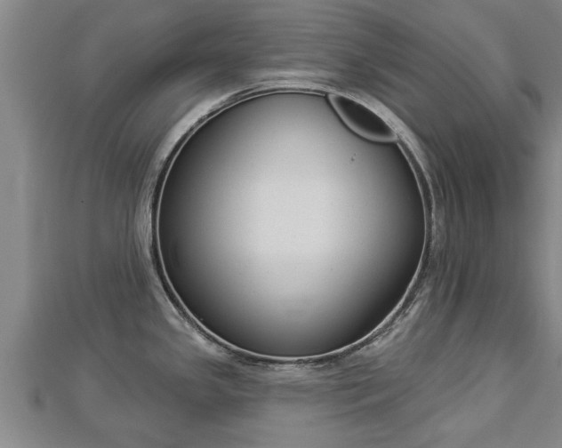 X0000112861341200908281556