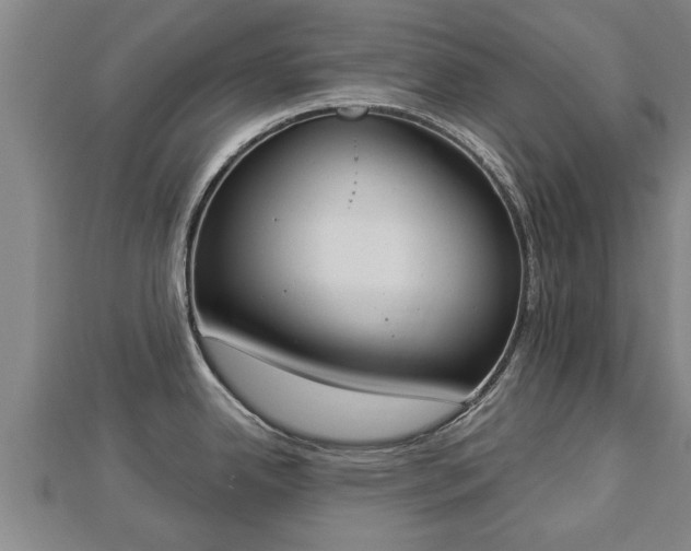 X0000112861342200908281556