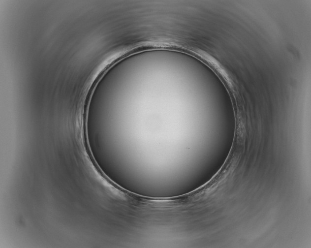 X0000112861343200908281556