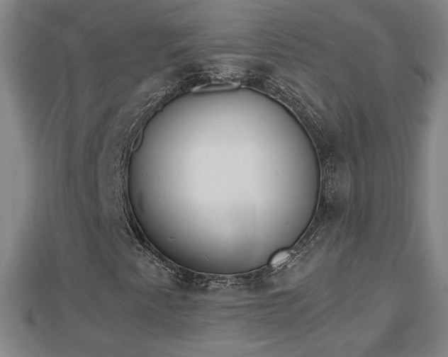 X0000112861345200908281555