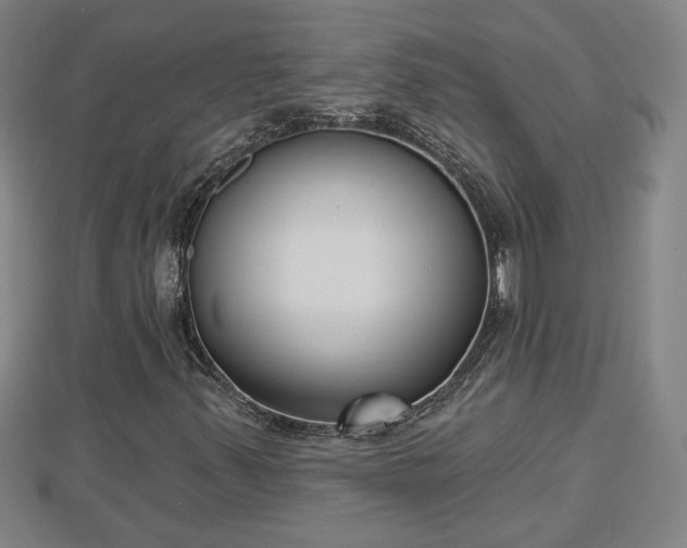 X0000112861347200908281555