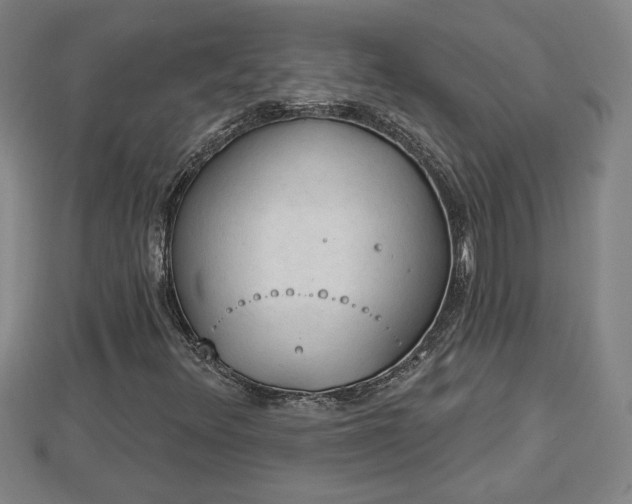 X0000112861348200908281555
