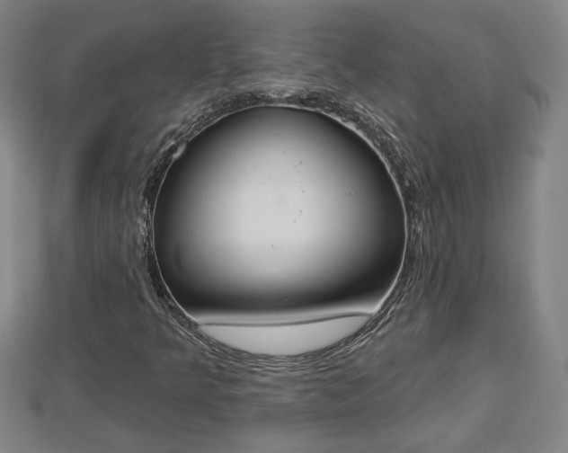 X0000112861349200908281555