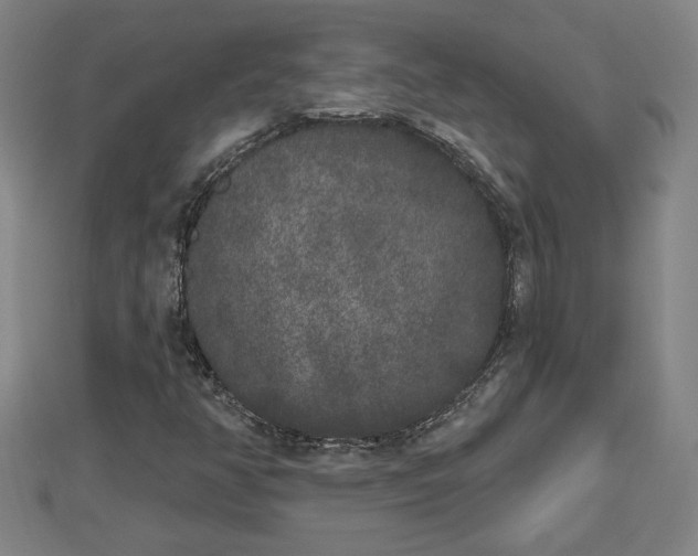 X0000112861350200908281555