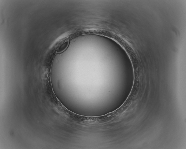 X0000112861351200908281555