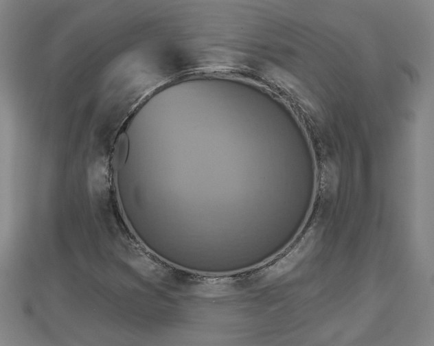 X0000112861353200908281555
