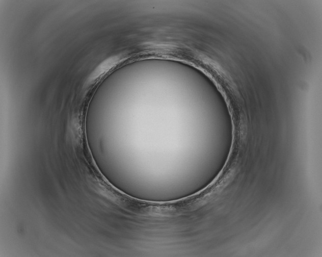 X0000112861354200908281555