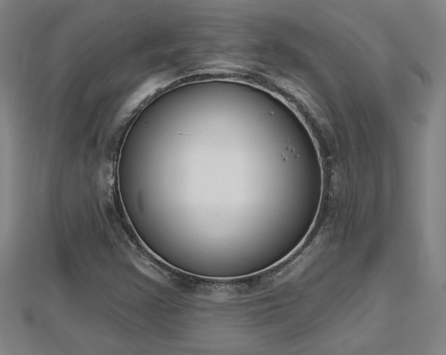 X0000112861355200908281555