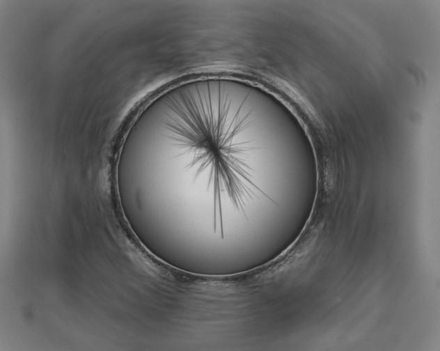 X0000112861356200908281555