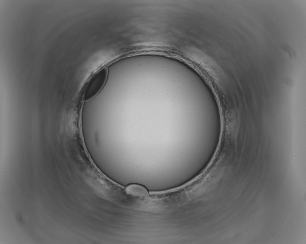 X0000112861357200908281555