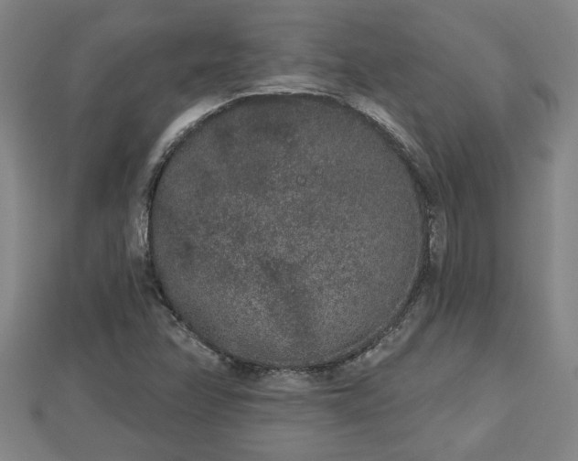 X0000112861358200908281555