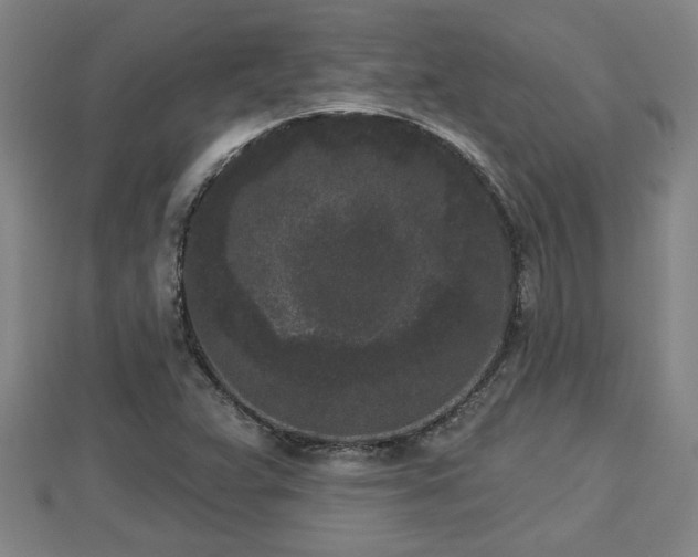 X0000112861359200908281555