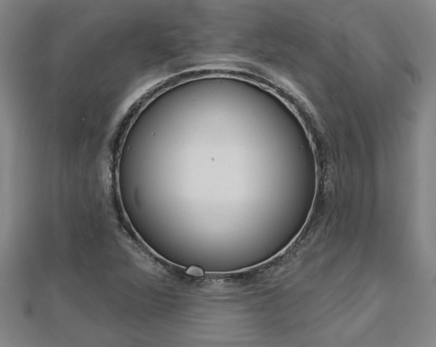 X0000112861360200908281555