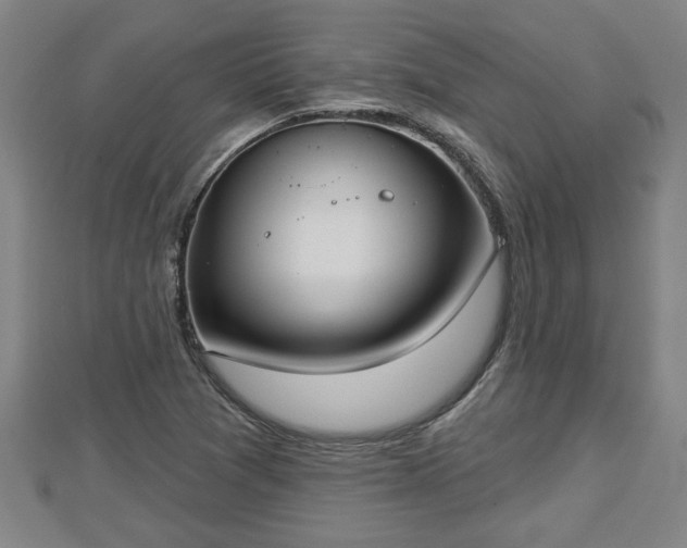 X0000112861361200908281555