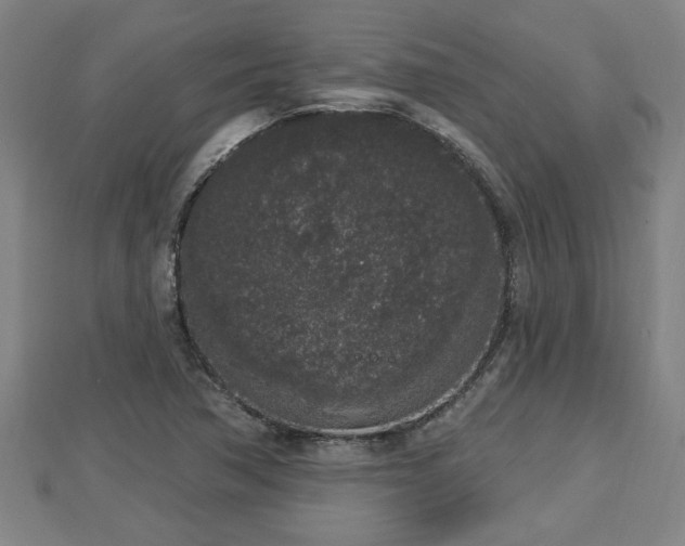 X0000112861362200908281555