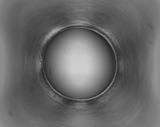 X0000112861363200908281555