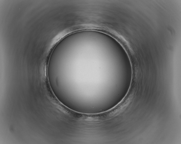 X0000112861365200908281555