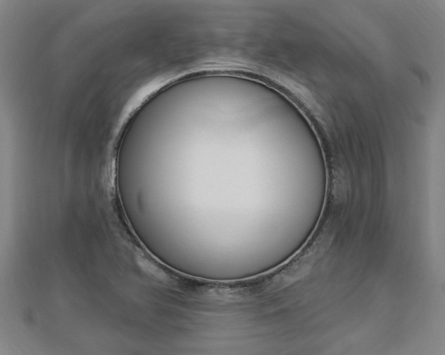 X0000112861366200908281555
