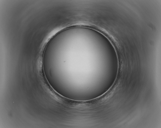 X0000112861367200908281555