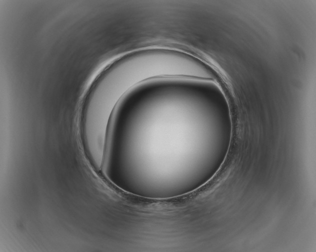 X0000112861368200908281555