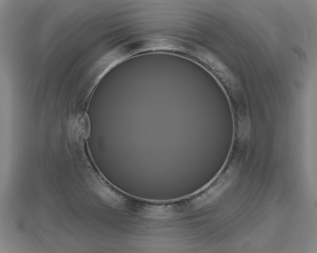 X0000112861369200908281555