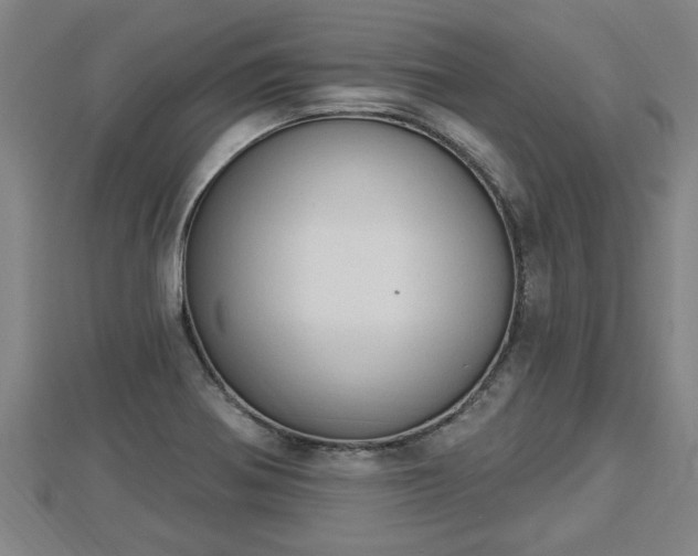 X0000112861370200908281555