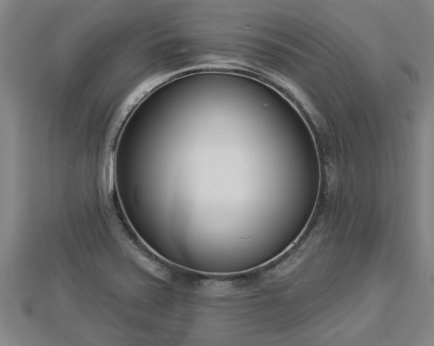 X0000112861371200908281554