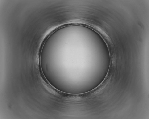X0000112861372200908281554