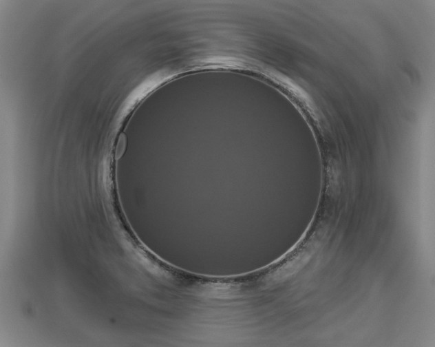 X0000112861373200908281554