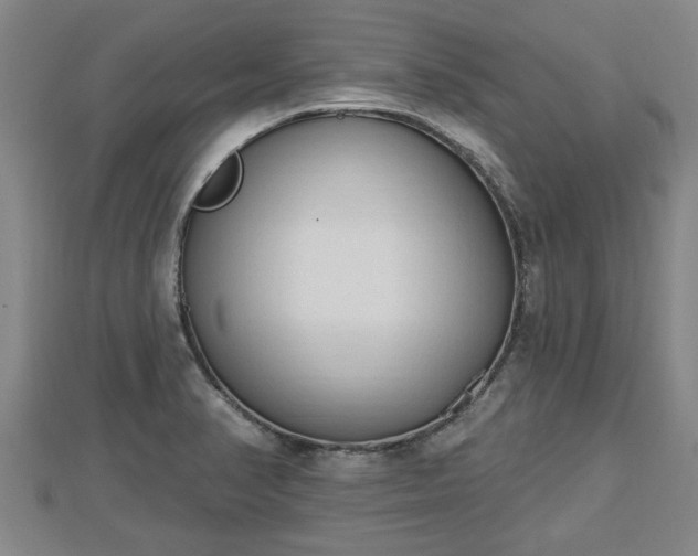 X0000112861374200908281554