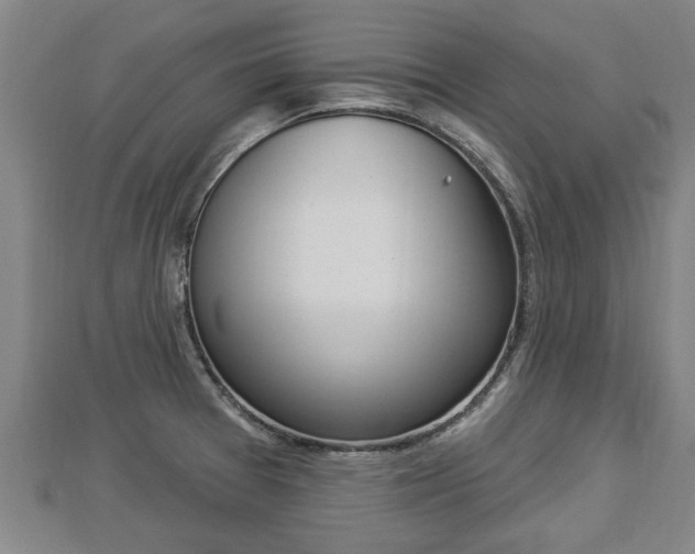 X0000112861377200908281554