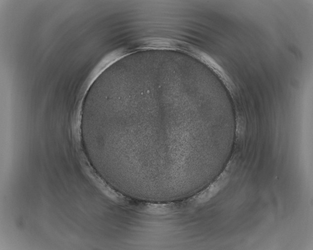 X0000112861378200908281554