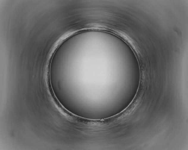 X0000112861379200908281554