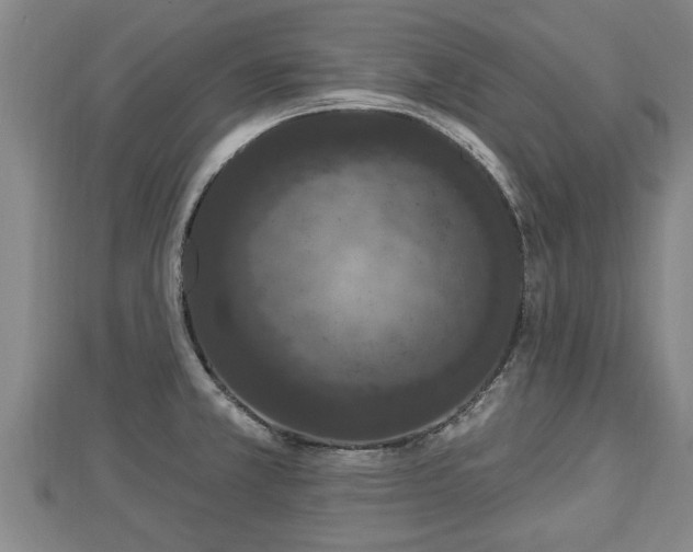 X0000112861381200908281554