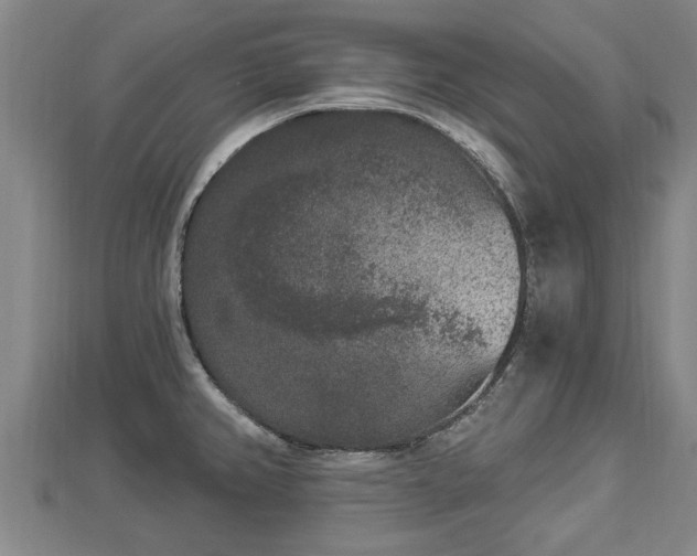 X0000112861382200908281554