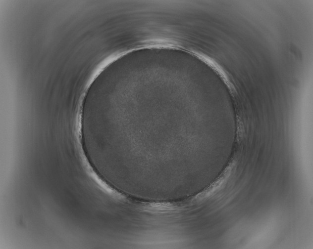 X0000112861383200908281554