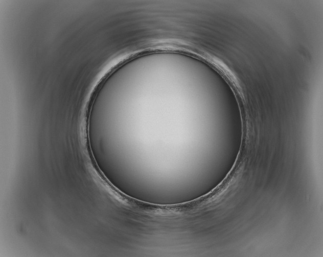 X0000112861384200908281554