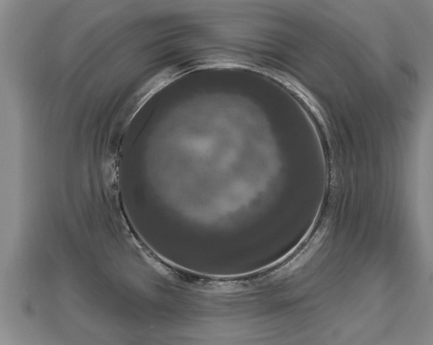 X0000112861385200908281554