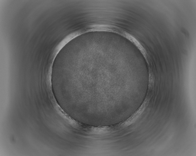 X0000112861386200908281554