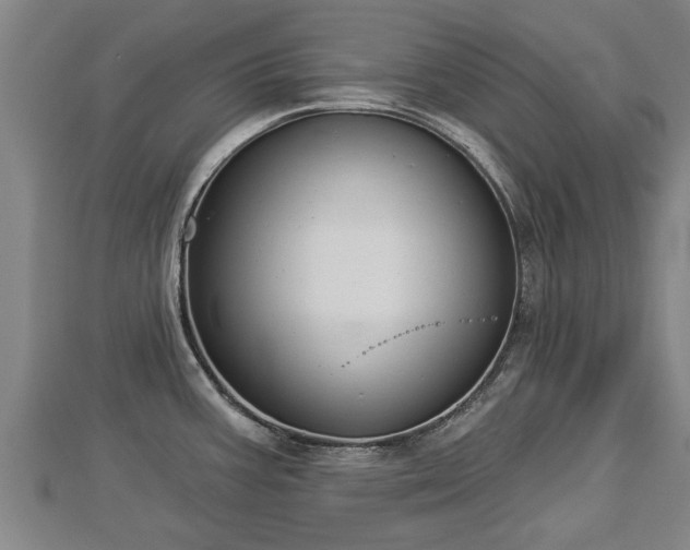 X0000112861387200908281554