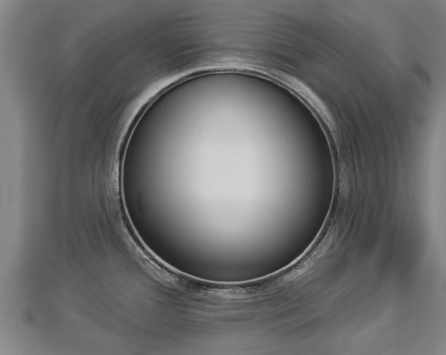 X0000112861388200908281554