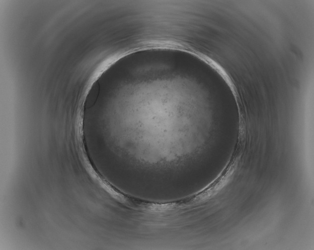 X0000112861389200908281554